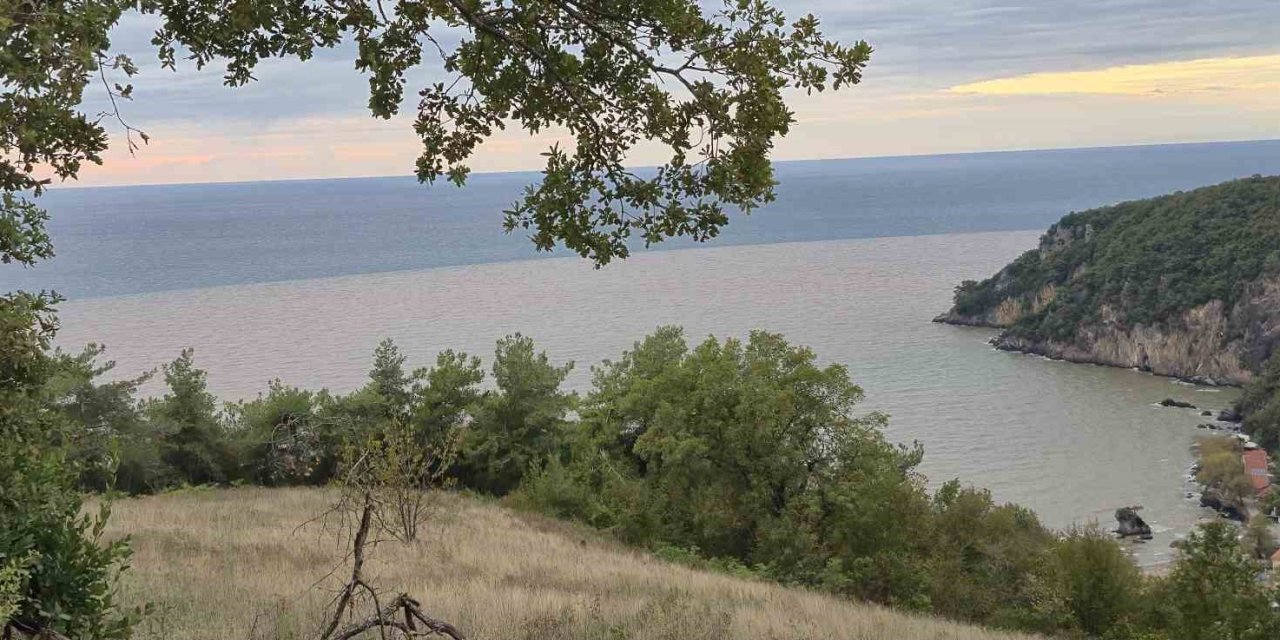 Bartın'da Doğa Alarm Veriyor: Deniz Turuncu, Sahil Çöplük