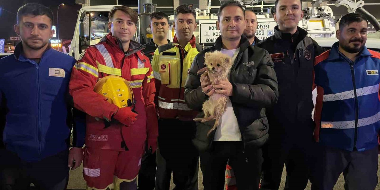 Kayıp köpek kanalizasyonda bulundu, kurtarma çalışması 6 saat sürdü