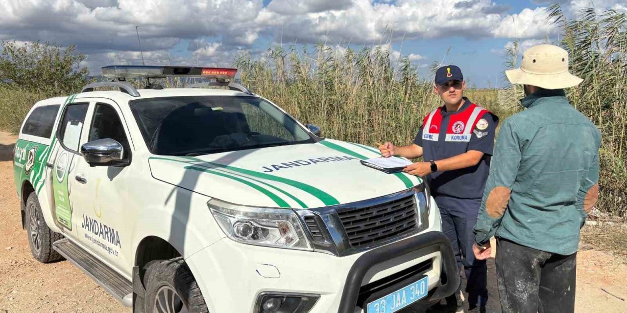 Göksu Deltası'nda Kaçak Mavi Yengeç Avcılığına Jandarma Baskını: 120 Yengeç Kurtarıldı