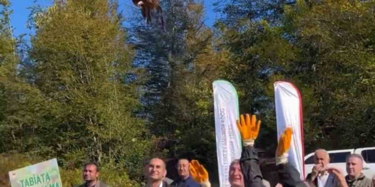 Kokarca Böceğine Karşı Biyolojik Savaş: Doğaya 250 Sülün Salındı