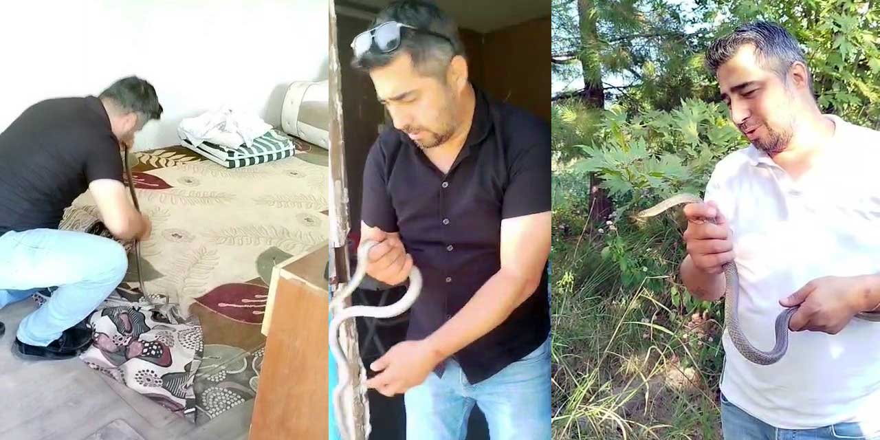 Hatay'da ‘Yılancı Kemal'den Korkusuz Operasyon: Konteynere Giren Karayılanı Eliyle Yakaladı