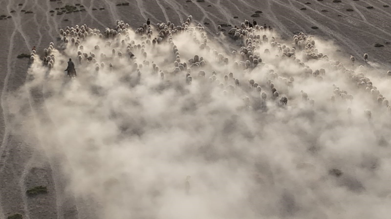 Konya'dan film sahnesi gibi görüntüler! Toz bulutunun içinden çıktılar