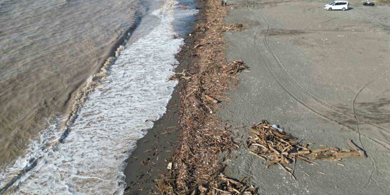 Şiddetli Yağış Akdeniz'e Kütük Taşıdı