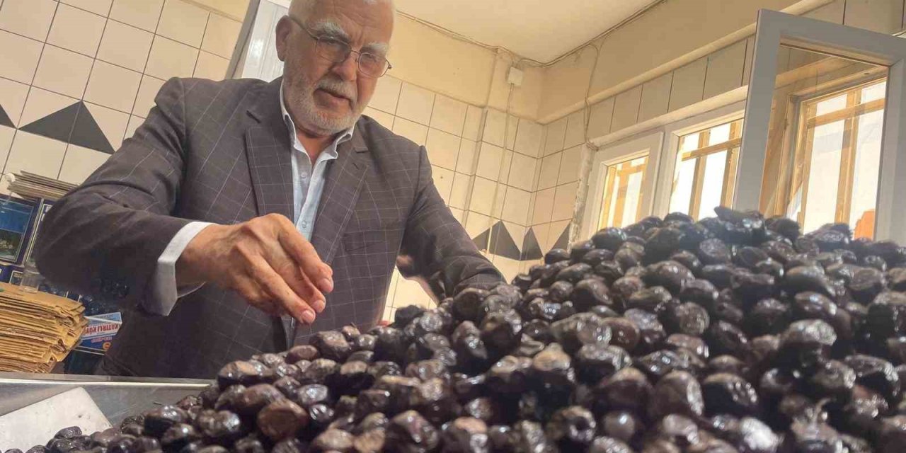 Zeytinin Kalbi Bursa'dan İsviçre'ye Uzandı