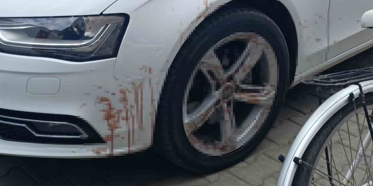 Manavgat'ta 'Kanlı Otomobil' Alarmı! Gerçek Ekipler Gelince Ortaya Çıktı