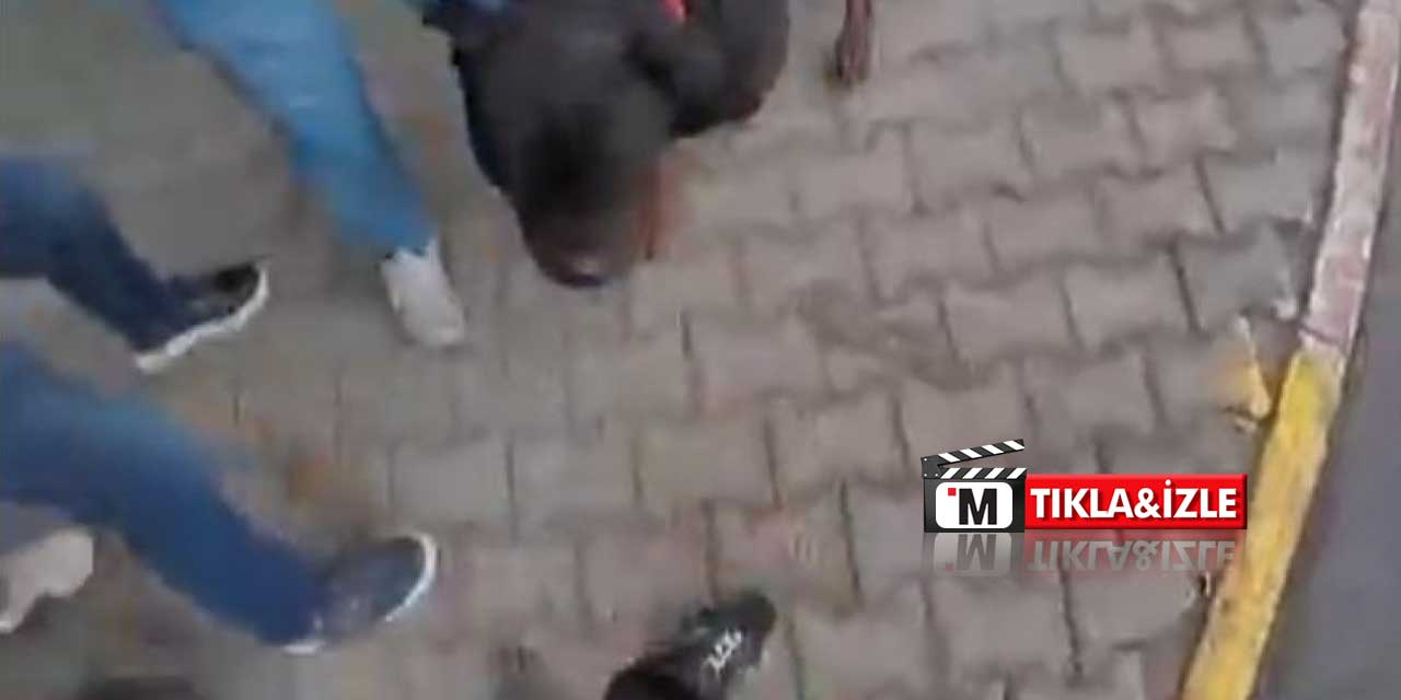 Mersin'de dehşet anları! Sahip çıkmadığı köpek saldırdı