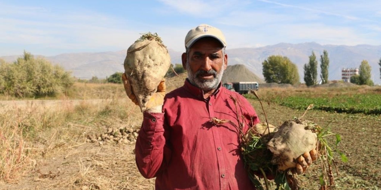 Şeker Piyasasında Sıcak Yazın Etkisi: Rekolte Düşüyor, Stoklar Güven Veriyor