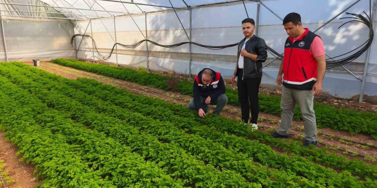 Beyşehir'de Örtü Altı Devrimi: Kırsal Mahalleler Serayla Zenginleşiyor