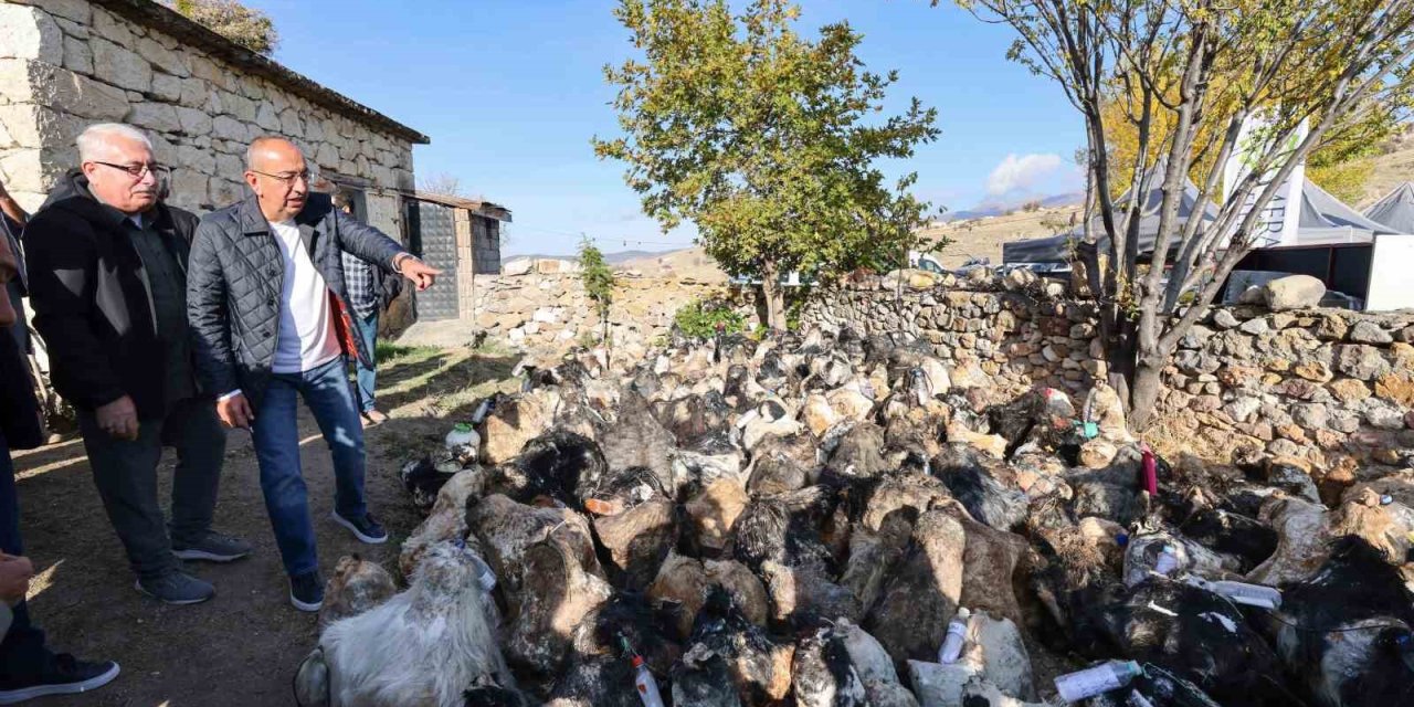 Konya'da 'Mağaradan Peynir Çıkarma' Şöleni