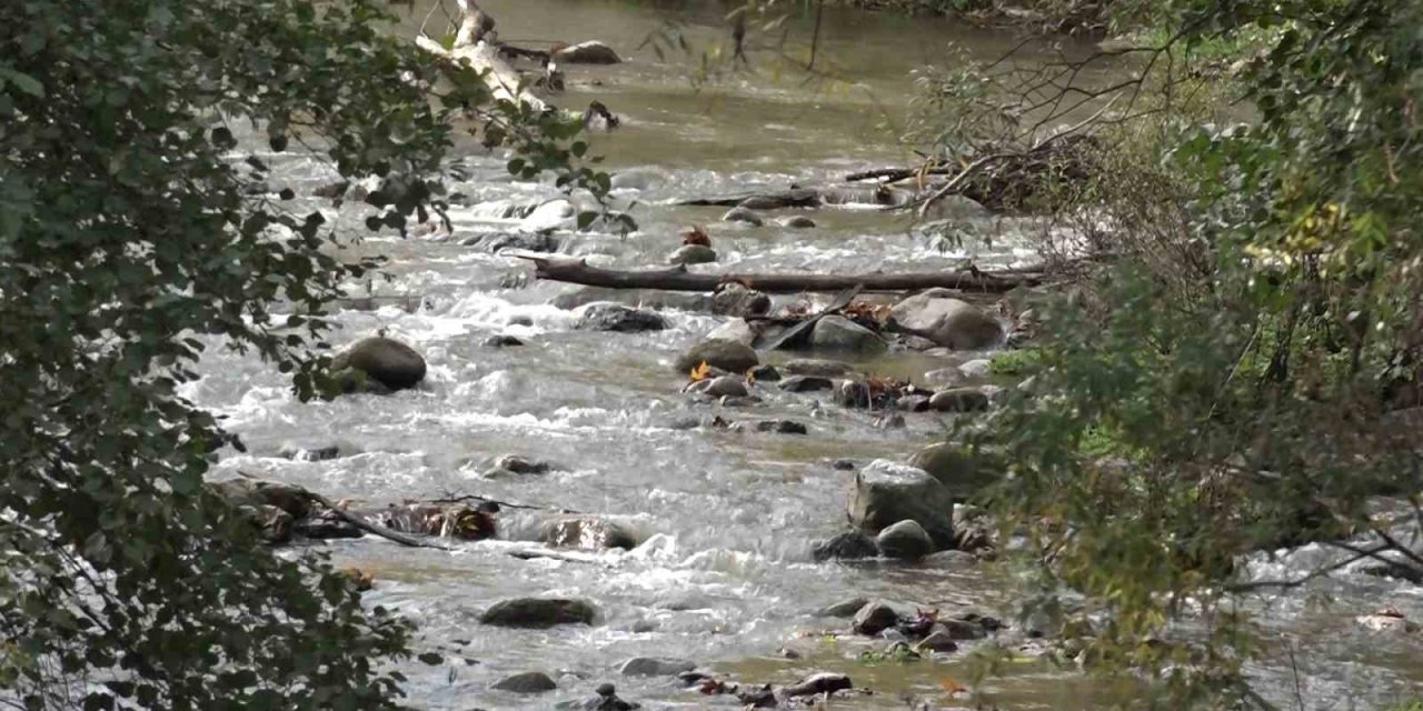 Dereler yeniden hayat buldu, kriz sinyalleri azaldı