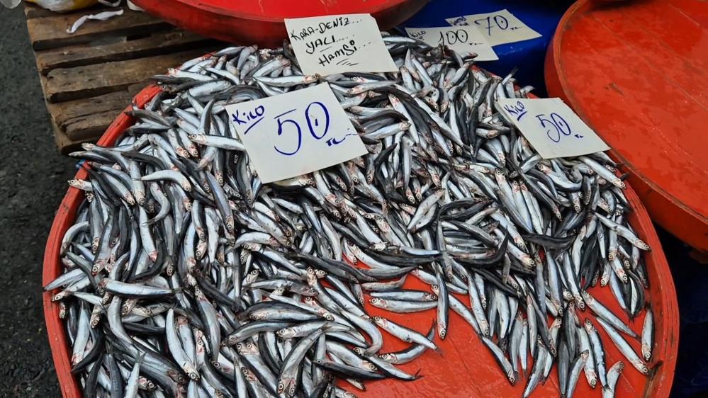 Sigaradan ucuz balık