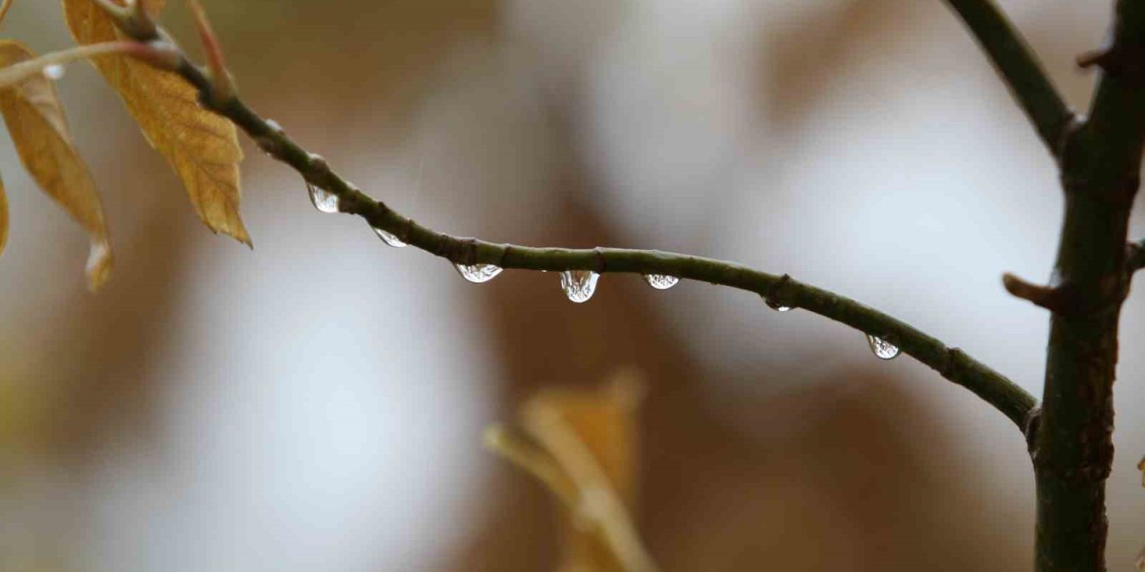 2 günlük yağışlar ekim ayını kurtardı