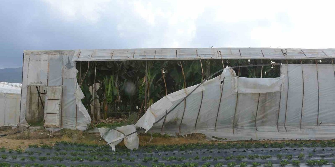 Fırtına ve hortum seraları vurdu