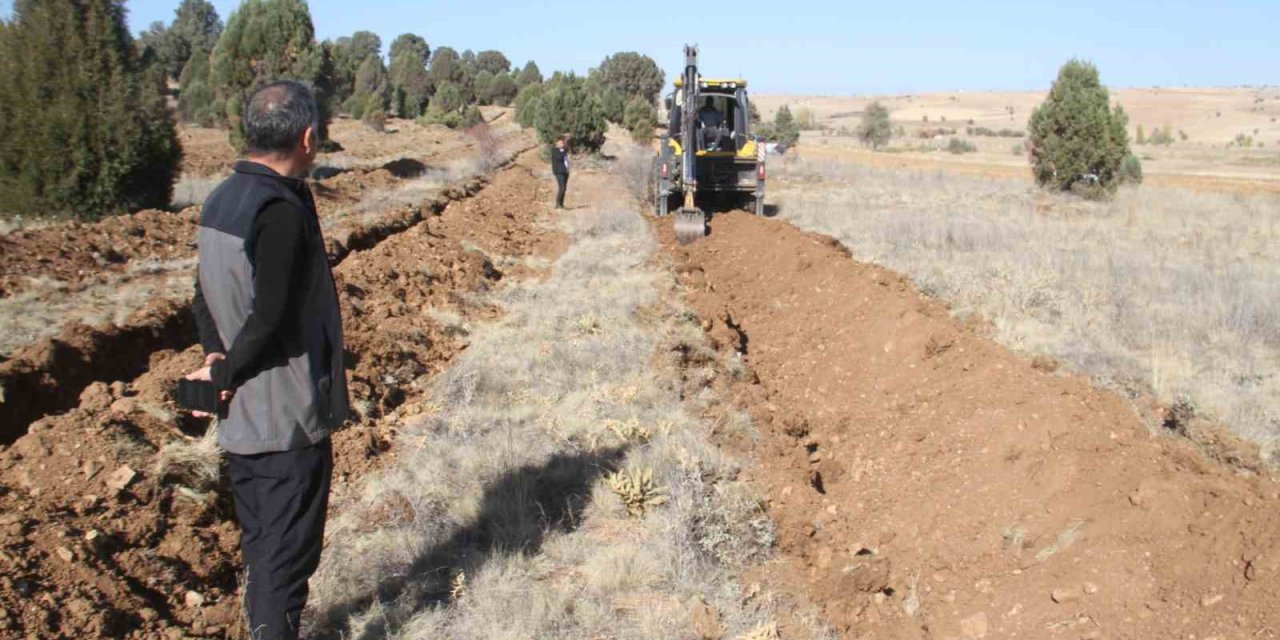 Beyşehir'de 11 Kasım Milli Ağaçlandırma Günü: 11 Bin Fidan Toprakla Buluşuyor