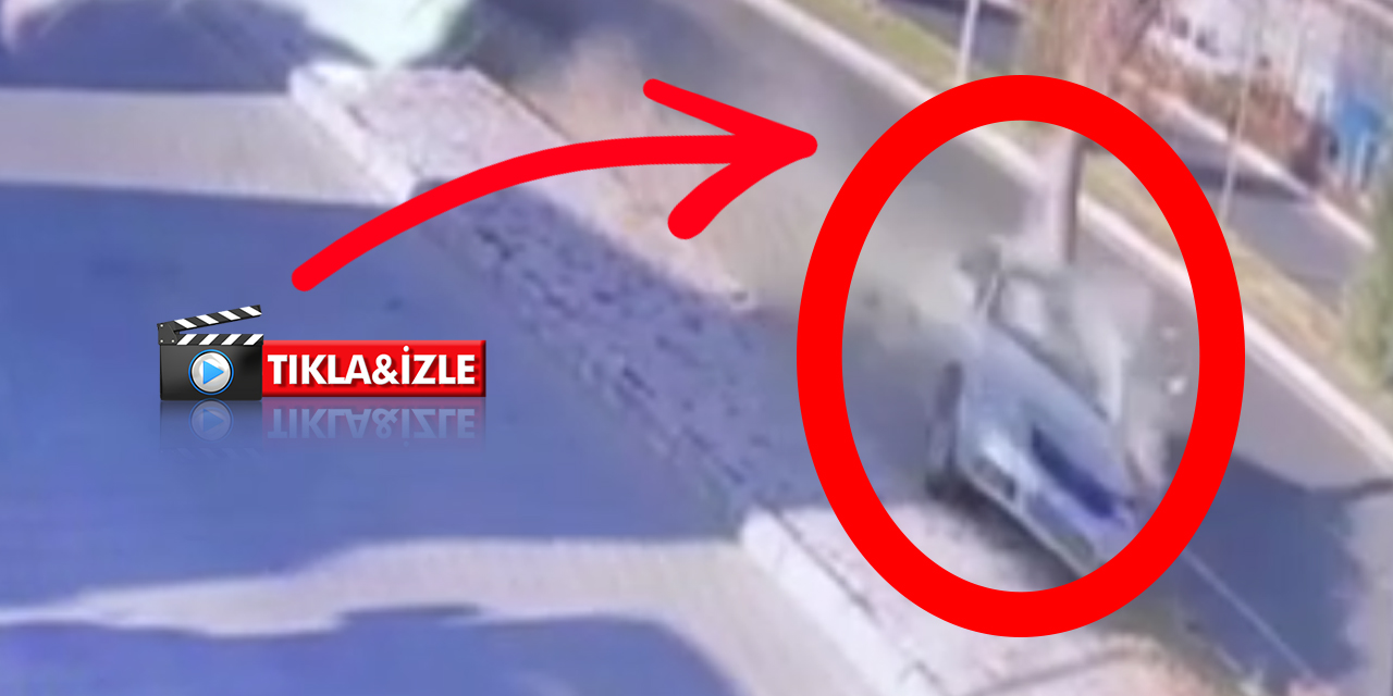 Ağaca çarpan otomobil ikiye bölündü