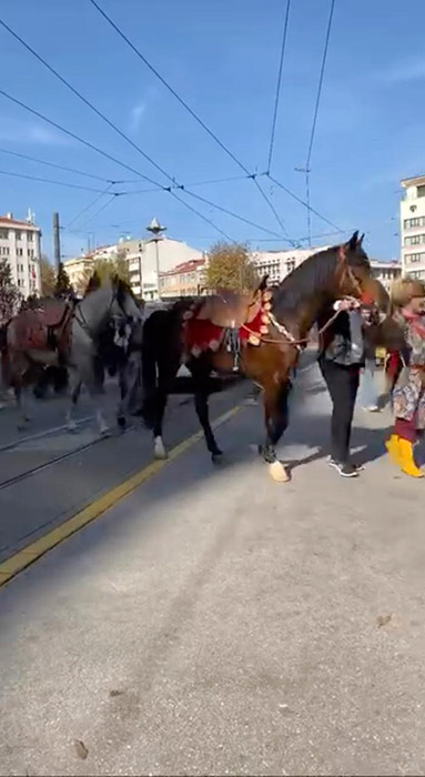 Eskişehir'de merak uyandıran atlar