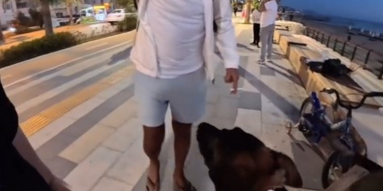 Alanya'da Akılalmaz Tehdit: Köpeği Kesmekle Korkuttu