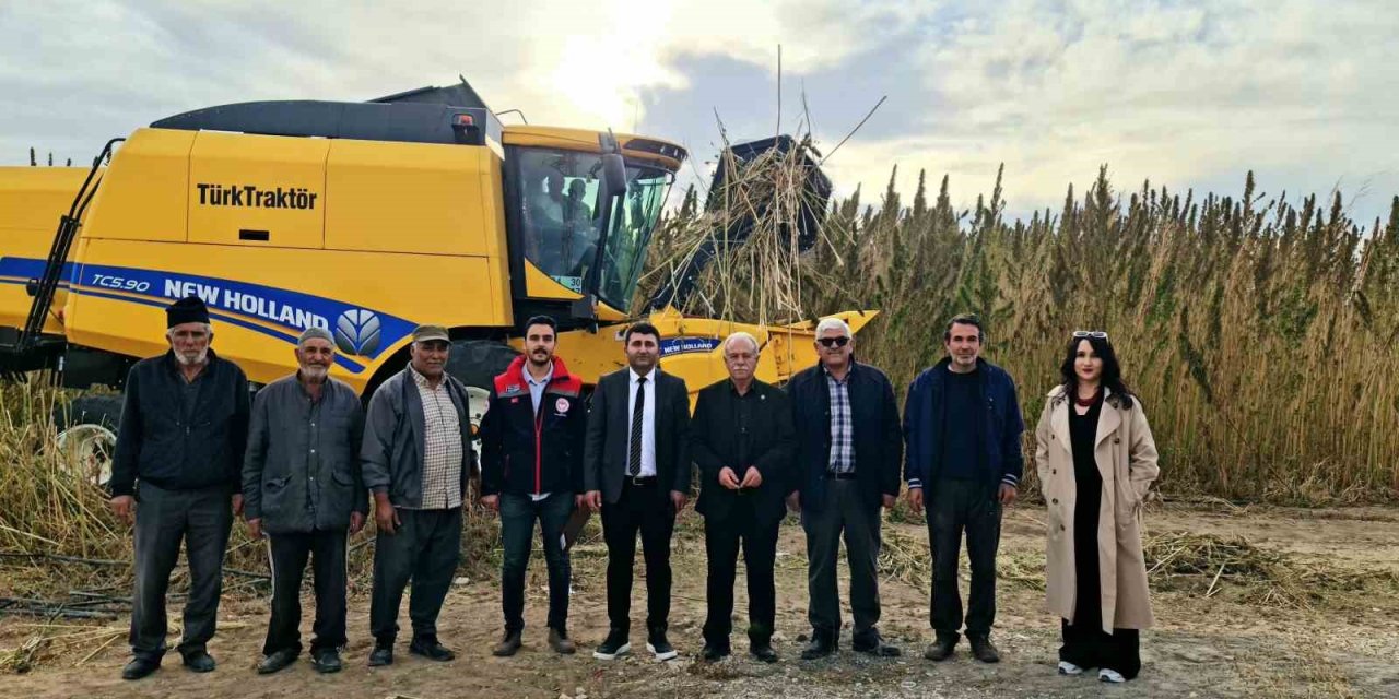 Konya'da Yeni Dönem: Kulu’da Endüstriyel Kenevir Hasadı Başladı