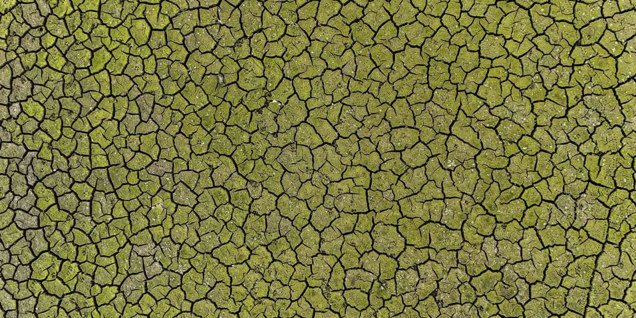 Kuraklığın izleri böyle görüntülendi