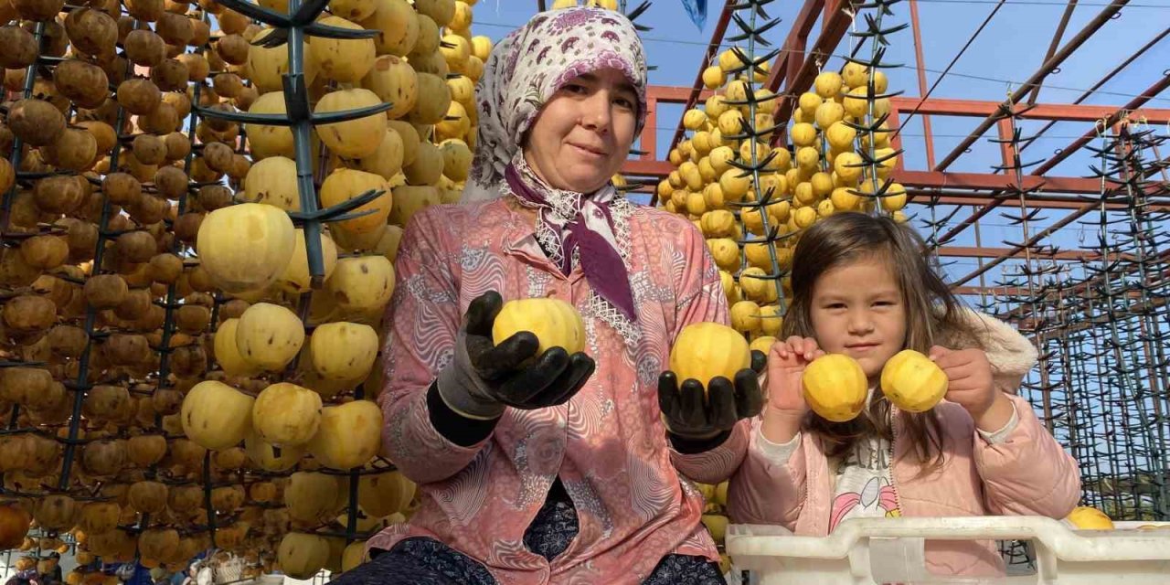 İlk kez ’Cennet Hurması Festivali’ düzenlenecek