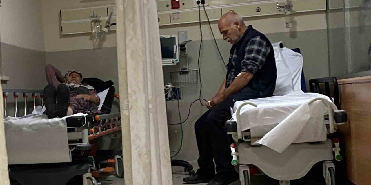 Ormandan Toplanan Mantarlar 7 Kişiyi Zehirledi