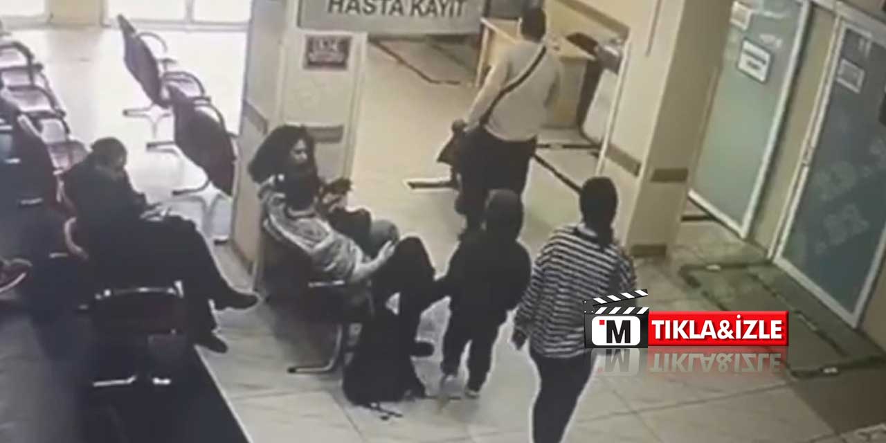 Böcek Ailesini Kumpir ve Midye Zehirledi