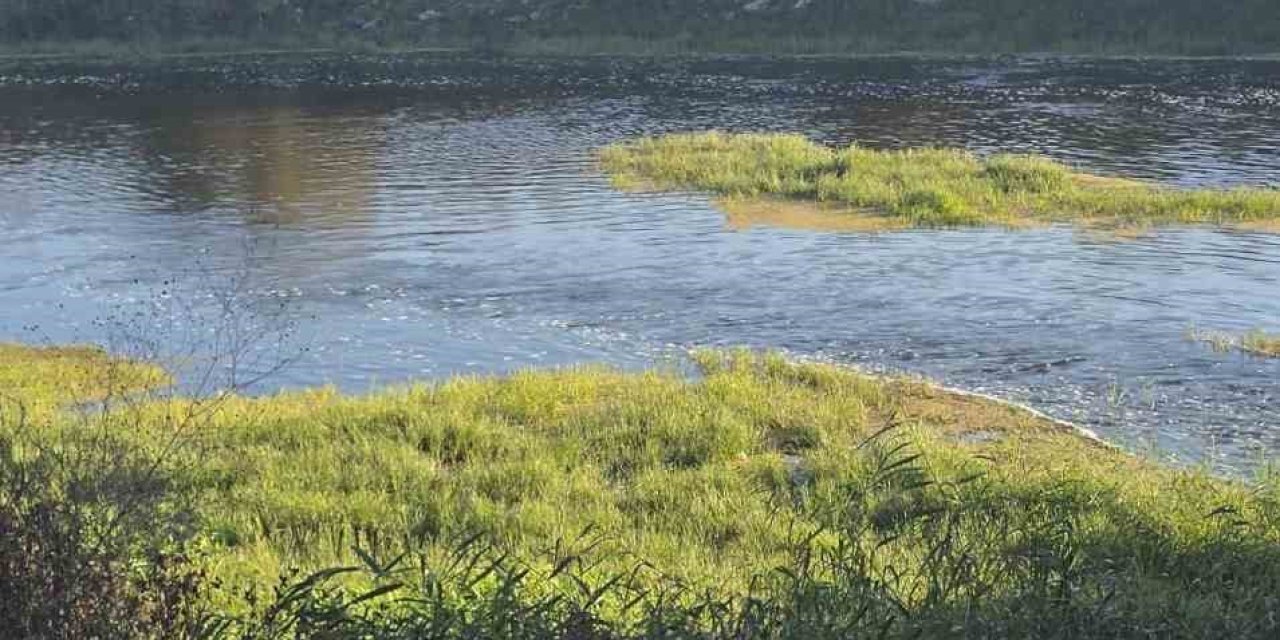 Canbolu Deresi’nde acı oyun: 10 yaşındaki Hızır Ali hayatını kaybetti