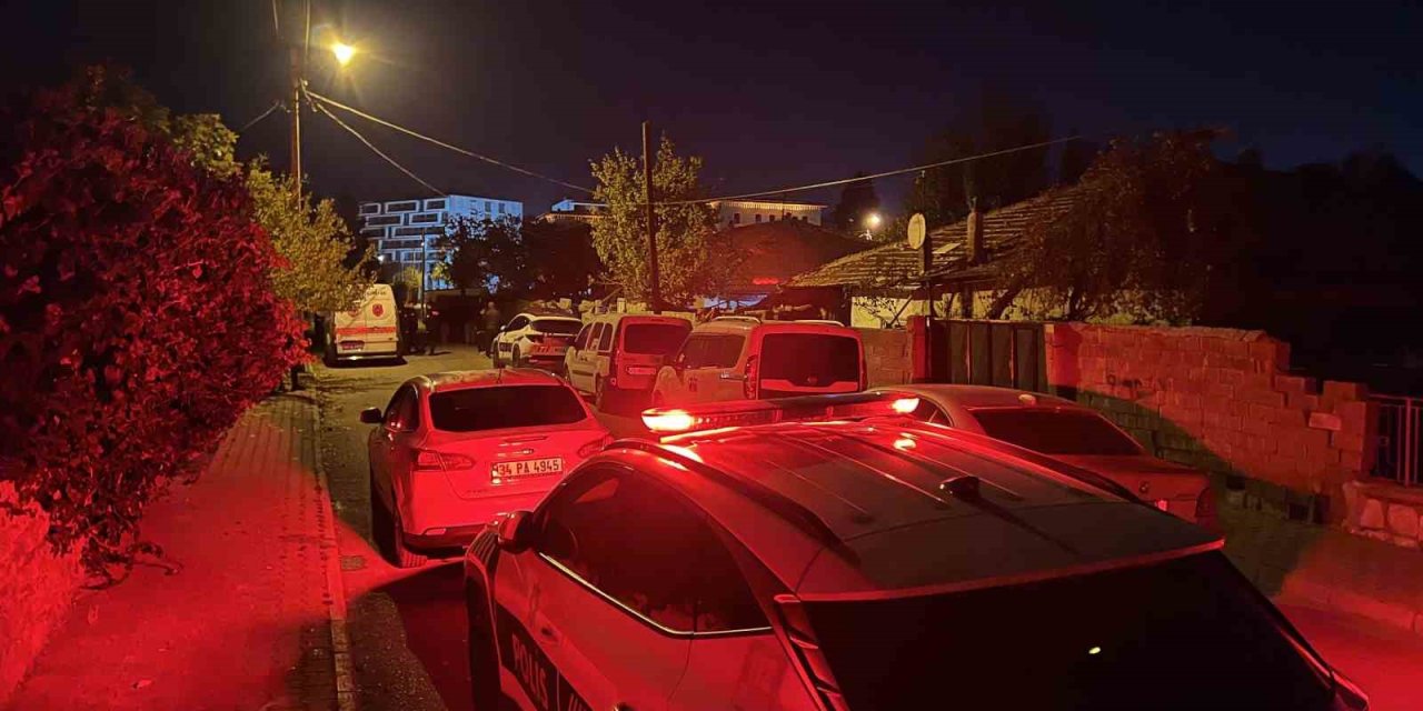 Babasını kalbinden bıçaklamıştı: Cinayetin altından kadına şiddet çıktı