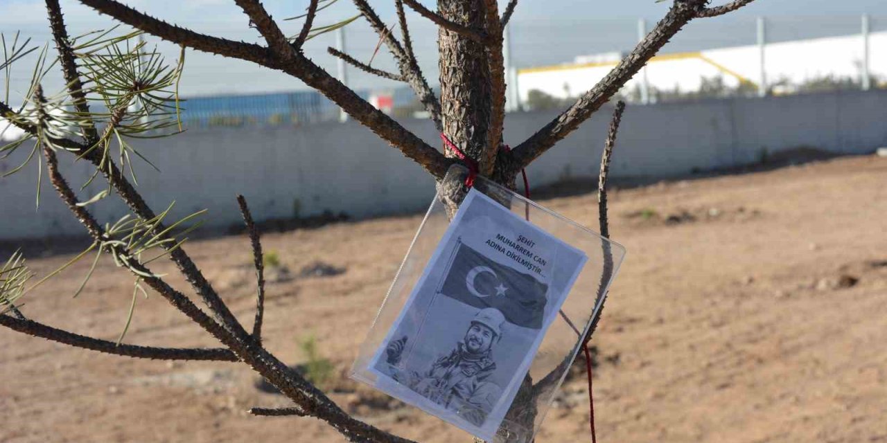 NEÜ, iki farklı etkinlikle şehitlerin hatırasını yeşertti