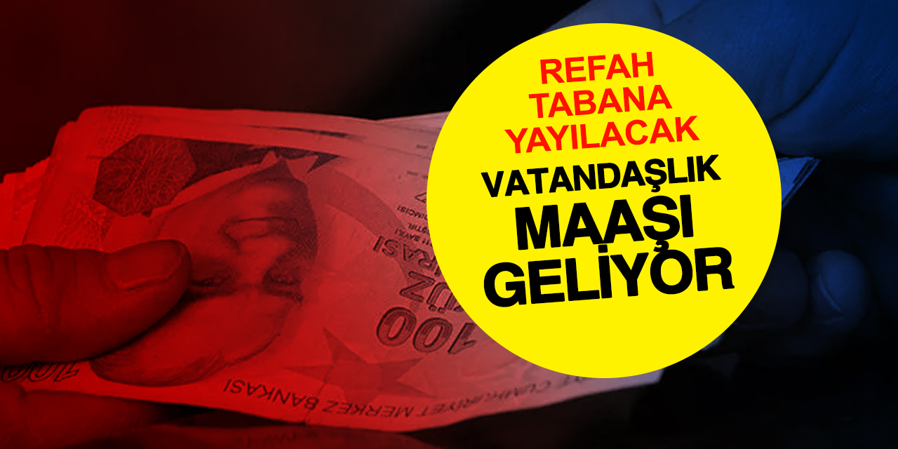 Vatandaşlık Maaşı İçin Pilot Uygulama 2026'da Başlıyor