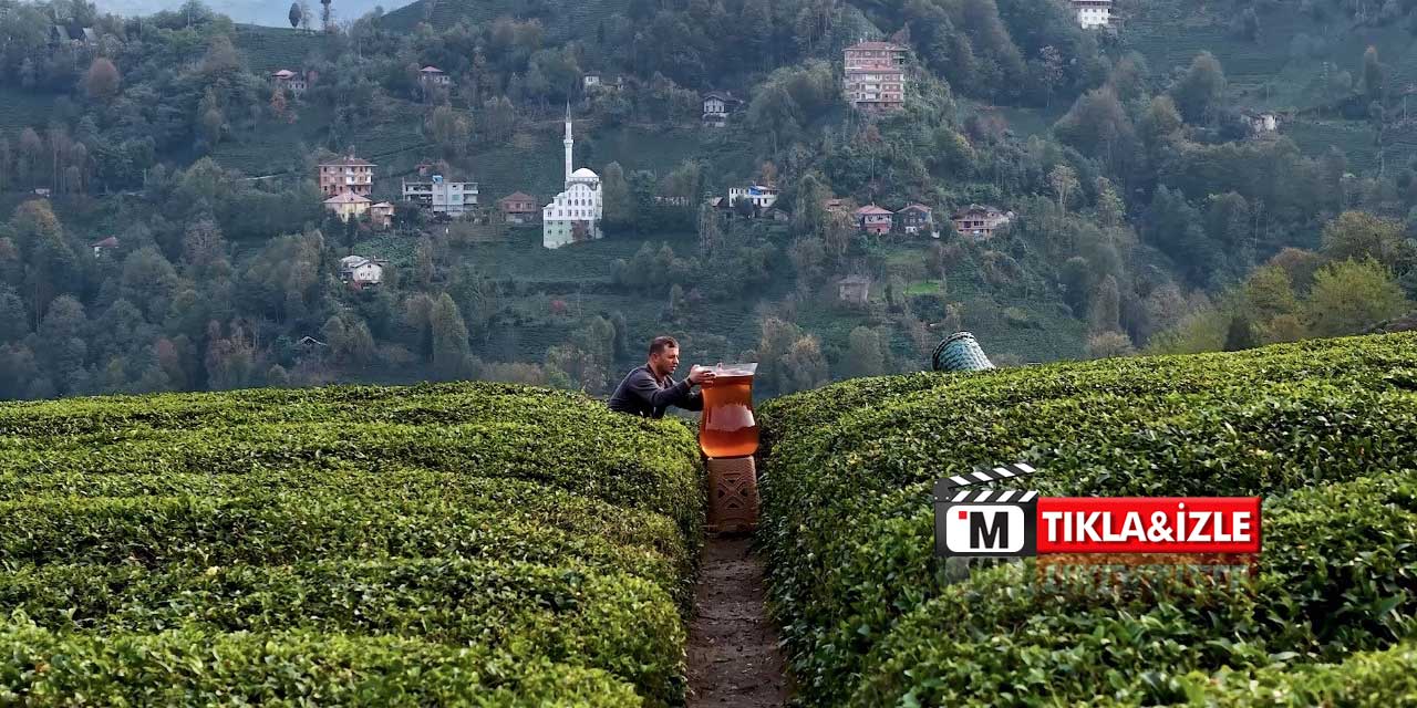 Sosyal Medyayı Sallayan Dev Çay Bardağı: İzleyenler Yapay Zeka Sandı