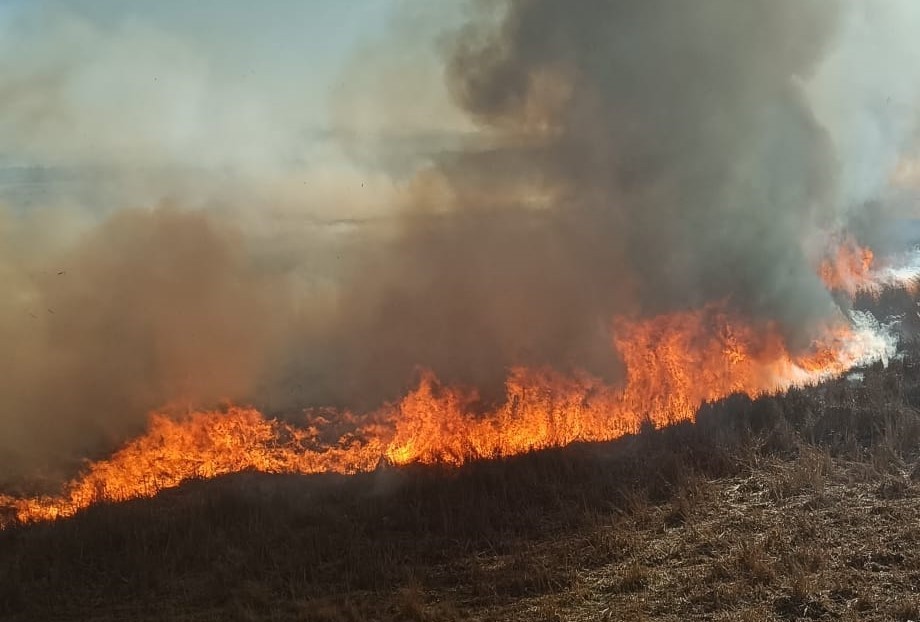 Gölü kuruyor etrafı yanıyor