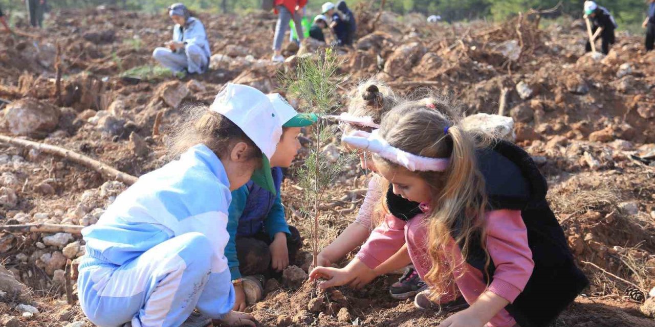 Ormana umut diktiler