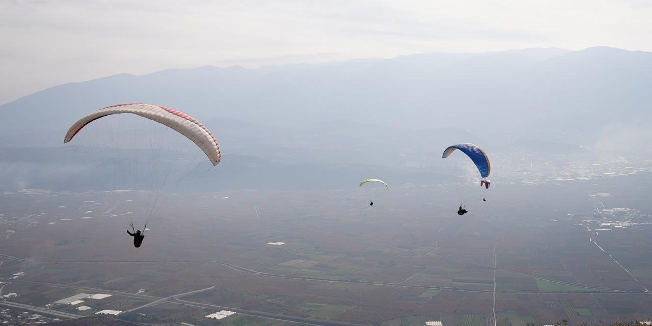 Yanan ormanlar için gökyüzünden tohum yağdı