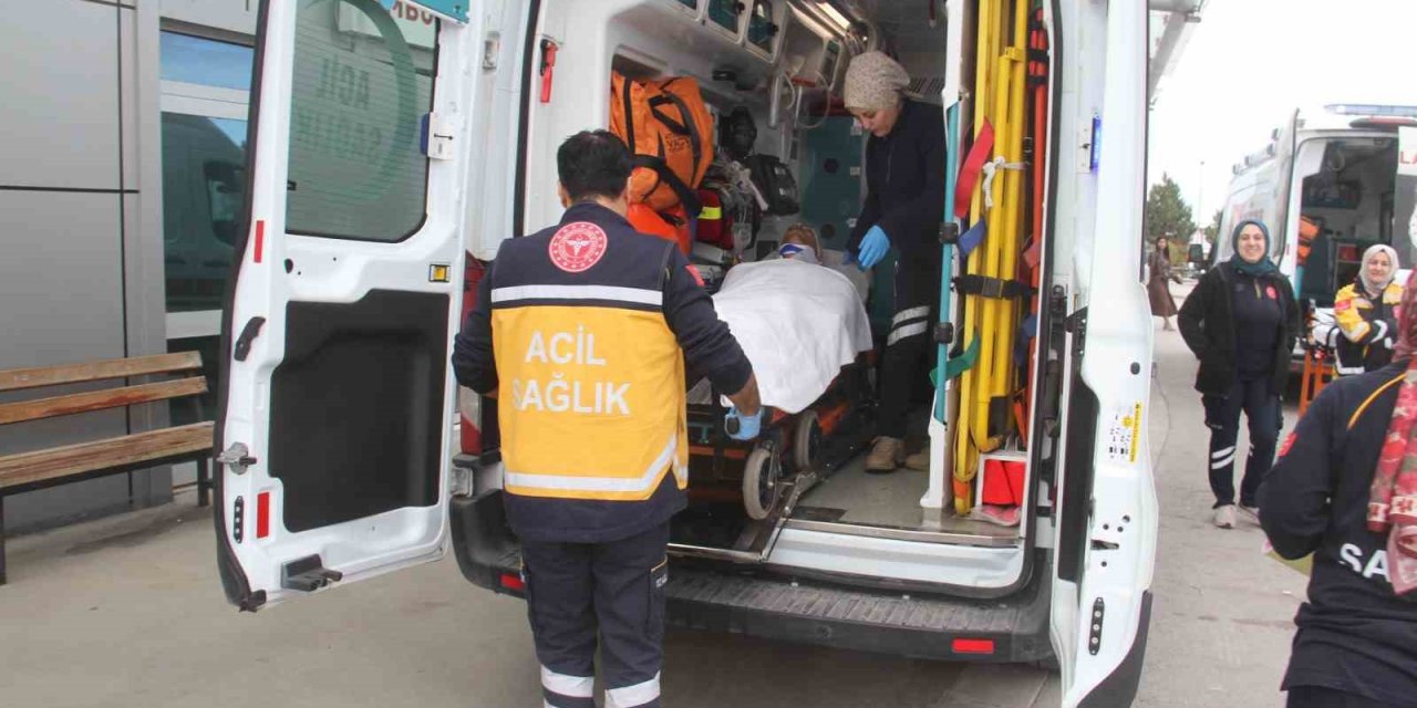 Dananın teptiği besici hastanelik oldu