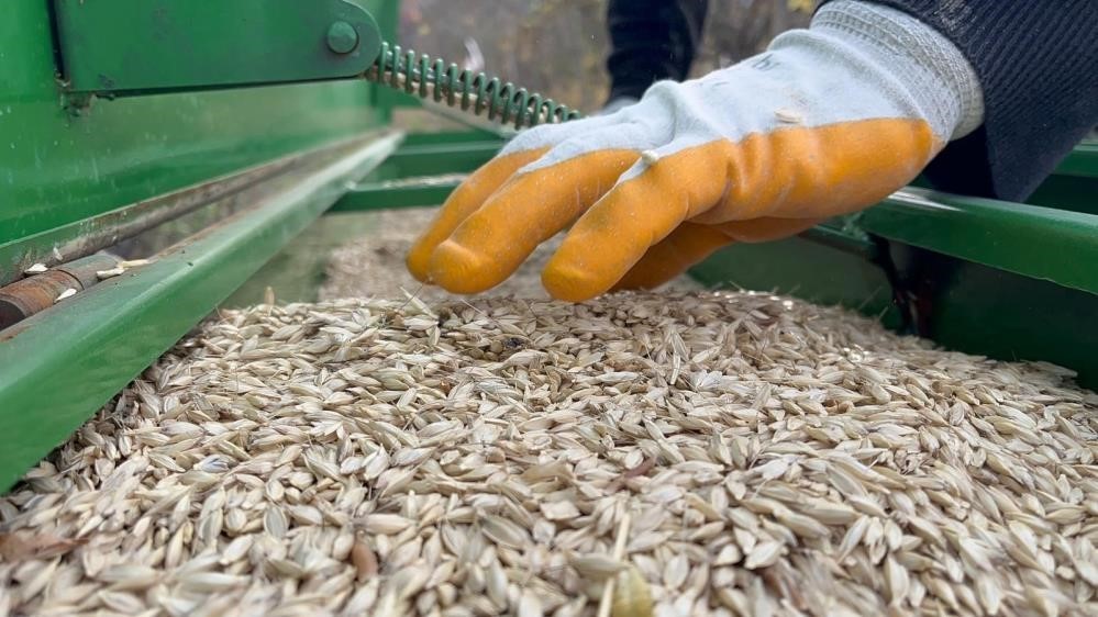 Gübre Fiyatı Uçtu TMO değinmeden geçmedi