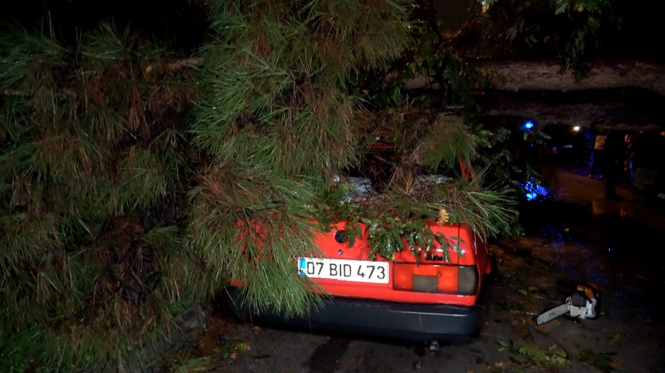 Gece gündüz oldu, yağmur ve fırtına ağaç devirdi