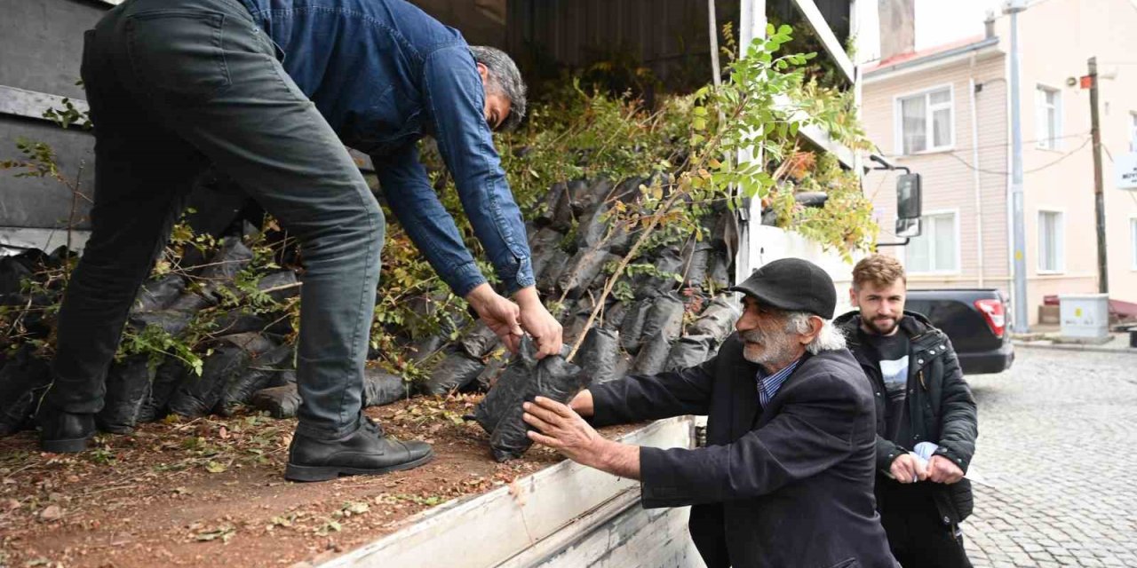 Konya Büyükşehir'den Çiftçiye Güçlü Sumak Desteği