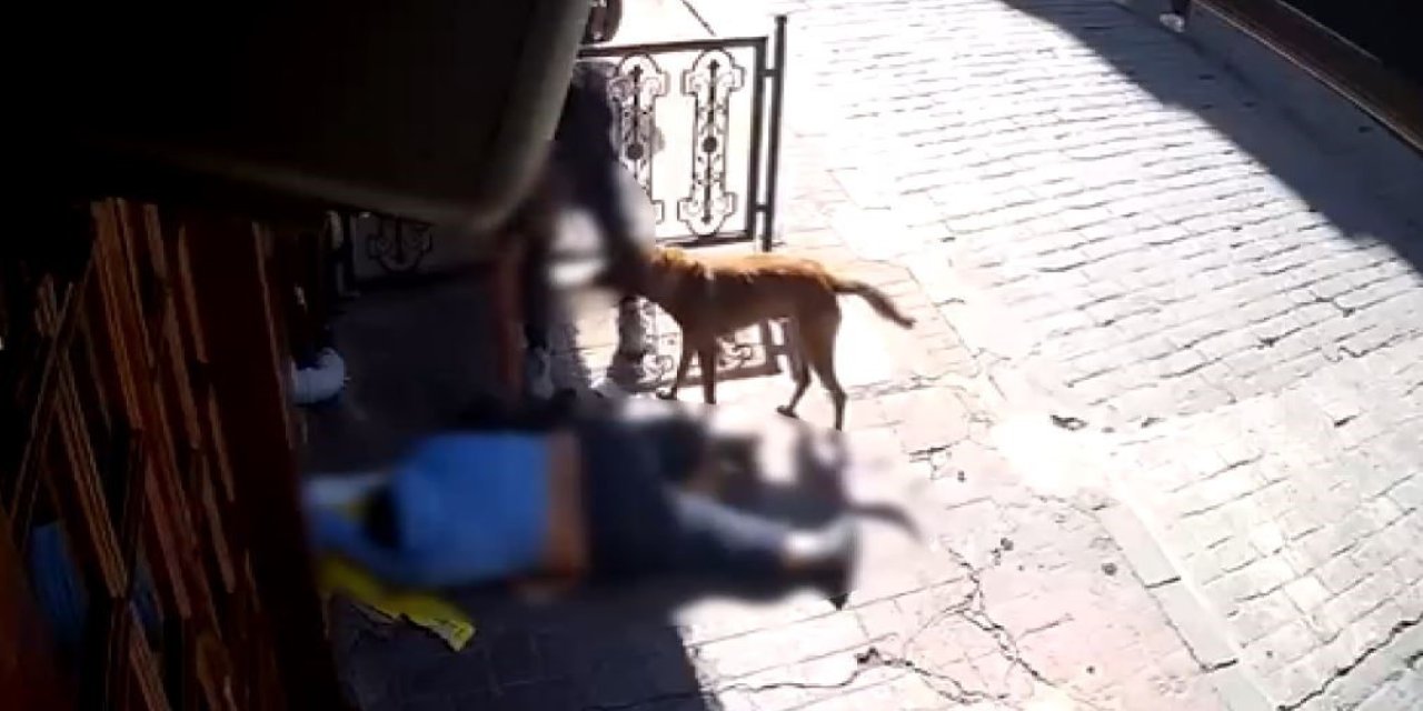 Sara Nöbeti Sonrası Yere Yığılan Adamın Eşyalarını Çaldılar