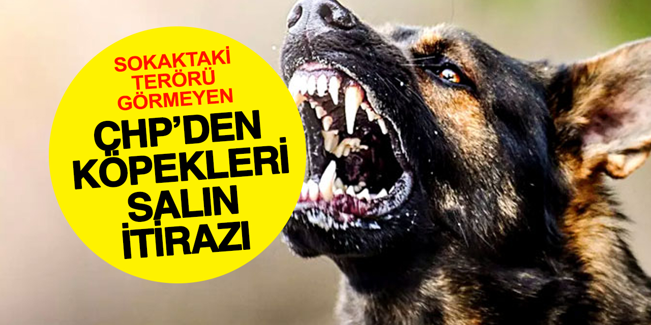 CHP Sokak Köpekleri Yasasına İtiraz Etti, Anayasa Mahkemesi Kararı Oy Birliğiyle Reddetti