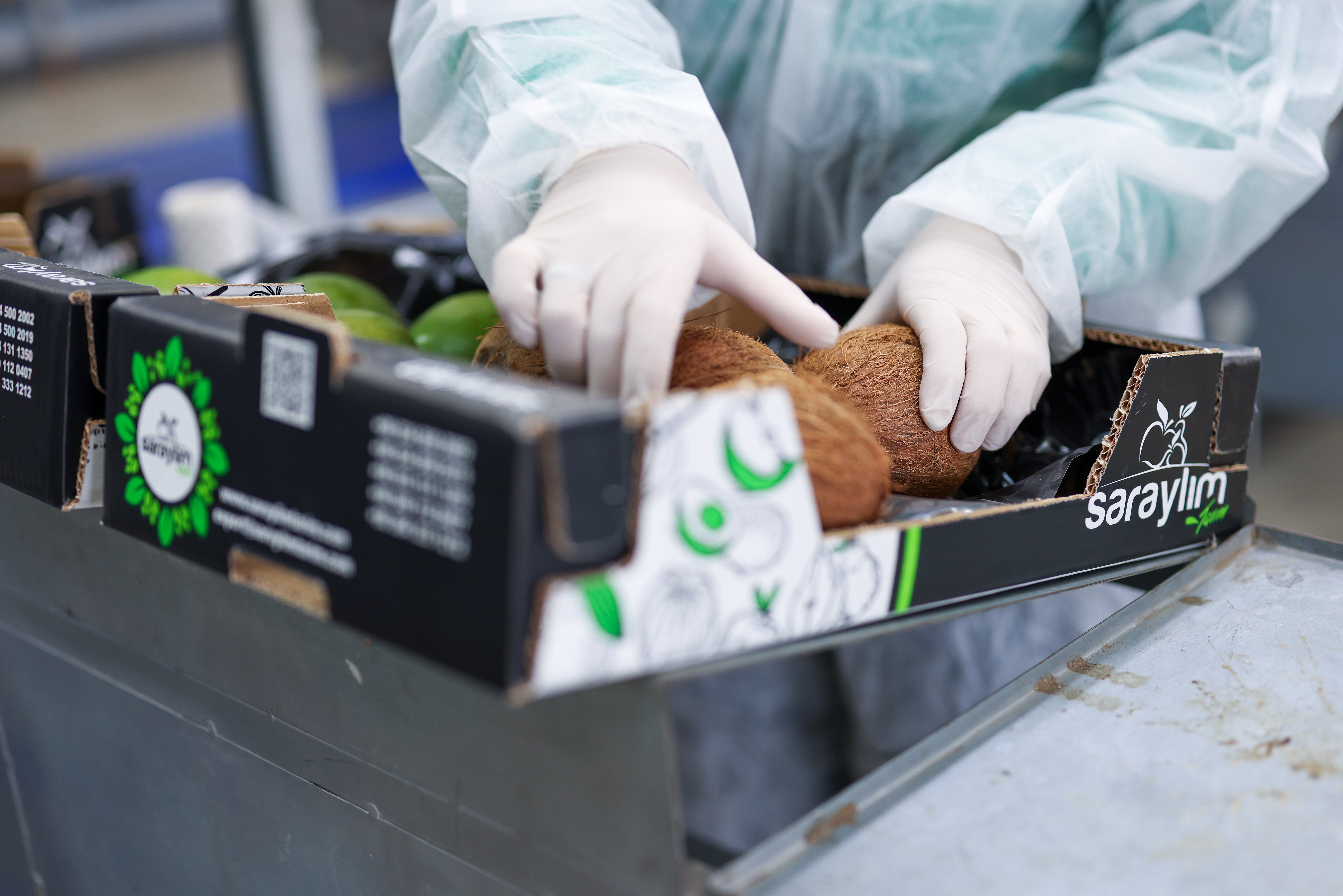 Ilıcalar'ın Saraylım Tarım'ından Konkordato! 25 Ülkeye İhracat Yapıyordu