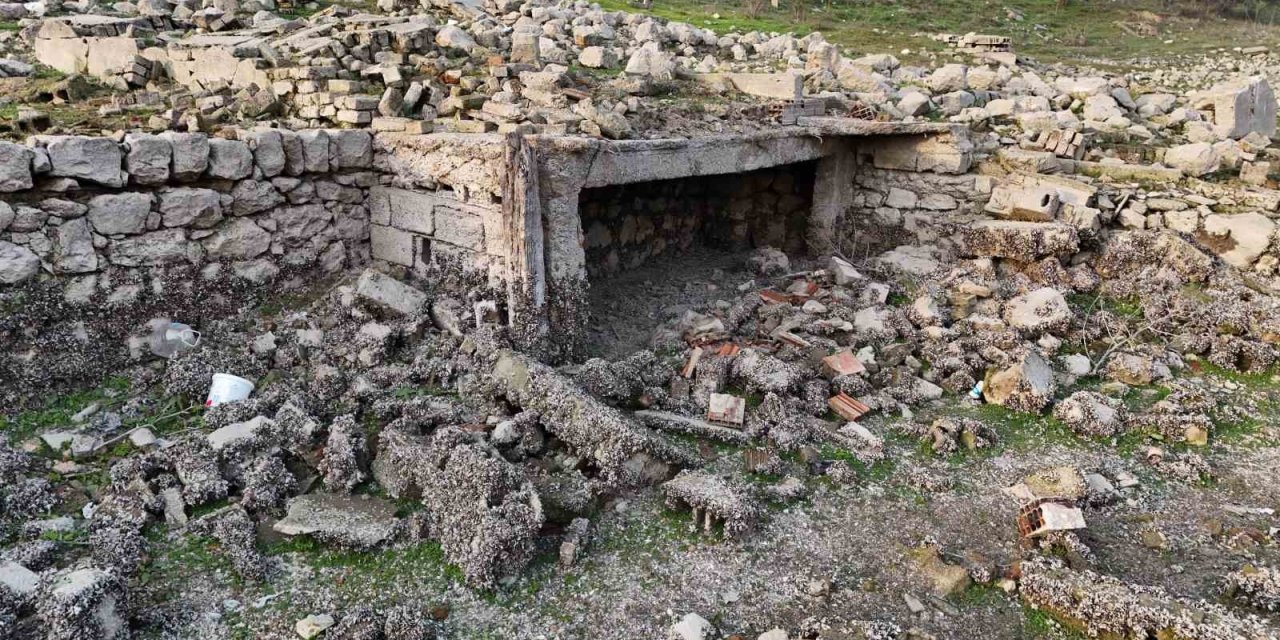 Kuraklığın en net görüntüsü: Eski köy evleri ortaya çıktı
