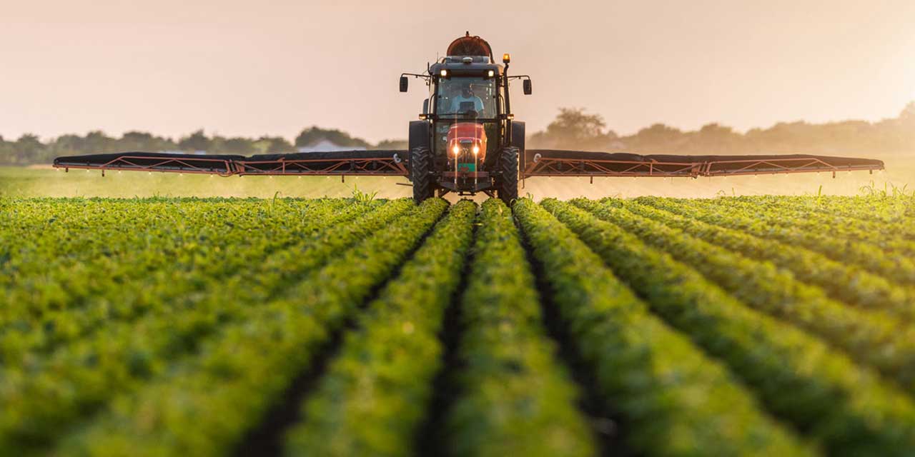 Konya kadar Hollanda tarımda dünya devi oldu: Biz neden yapamıyoruz?