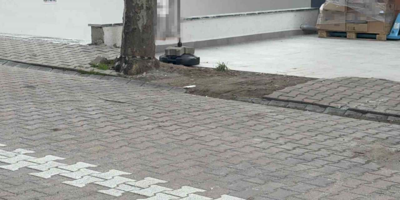 İçine bakmasaydı çöpe atacaktı: Kargo poşetinden servet çıktı