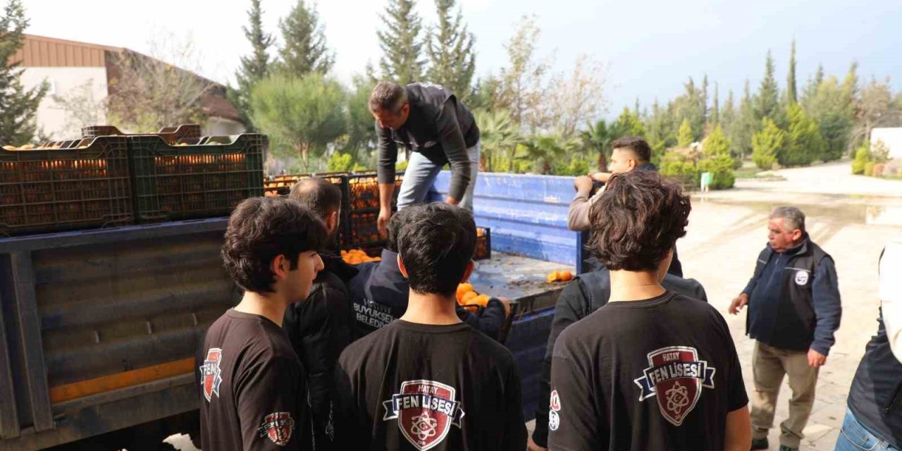 Büyükşehirden üreticiye destek: 320 ton mandalinayı alıp ücretsiz dağıttı