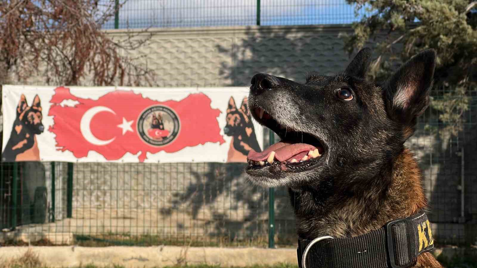 Konya'da zulaları bu dörtlü patlattı
