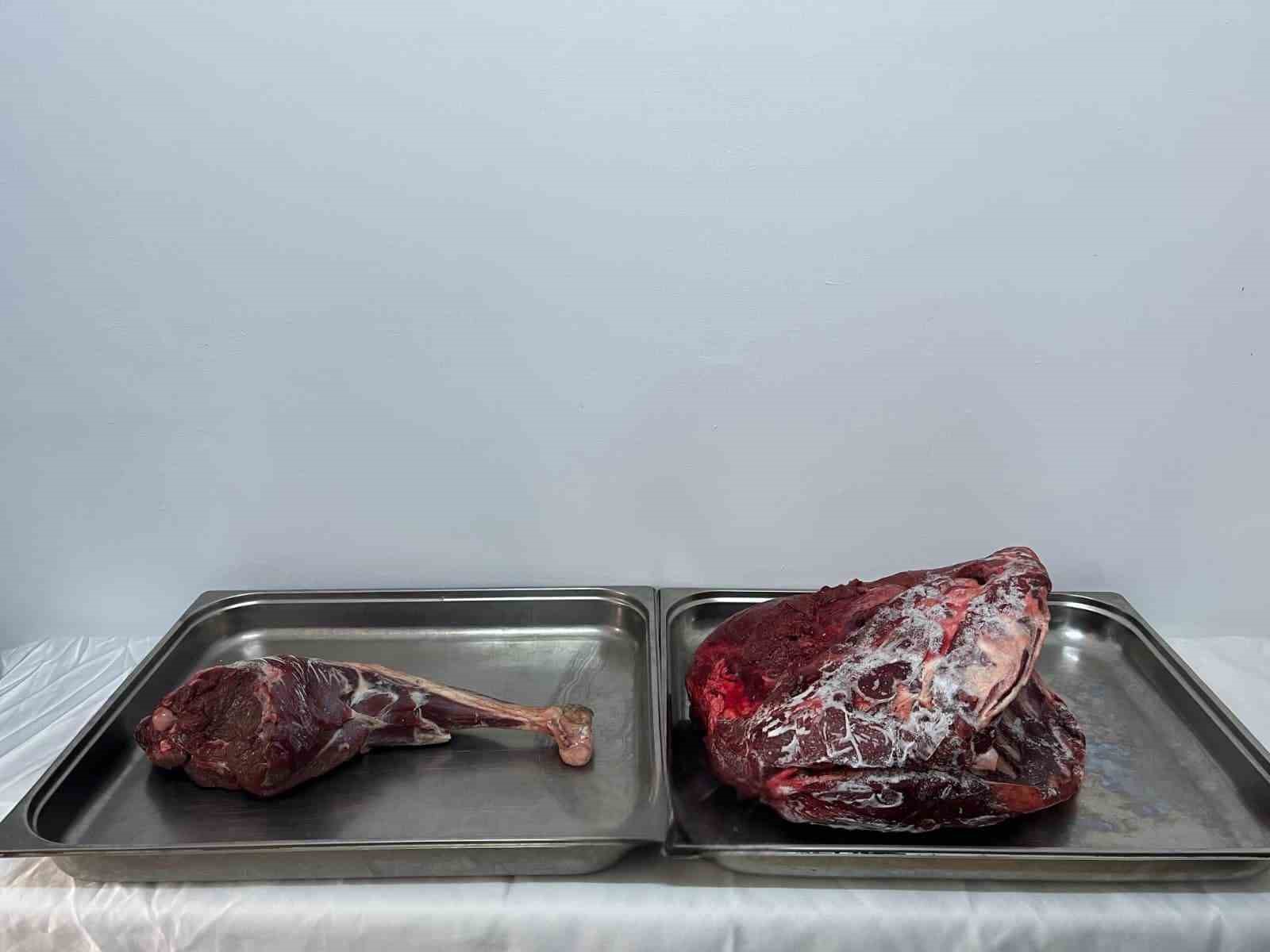 Karaman'da yaban keçisi avına rekor ceza