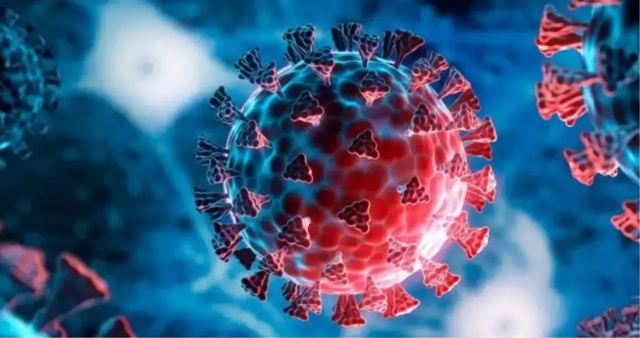 7 mutasyon geçirip Türkiye'ye geldi