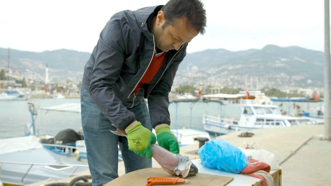 Alanya'da balon balığından ayakkabı ve çanta yaptılar yasaya takıldılar