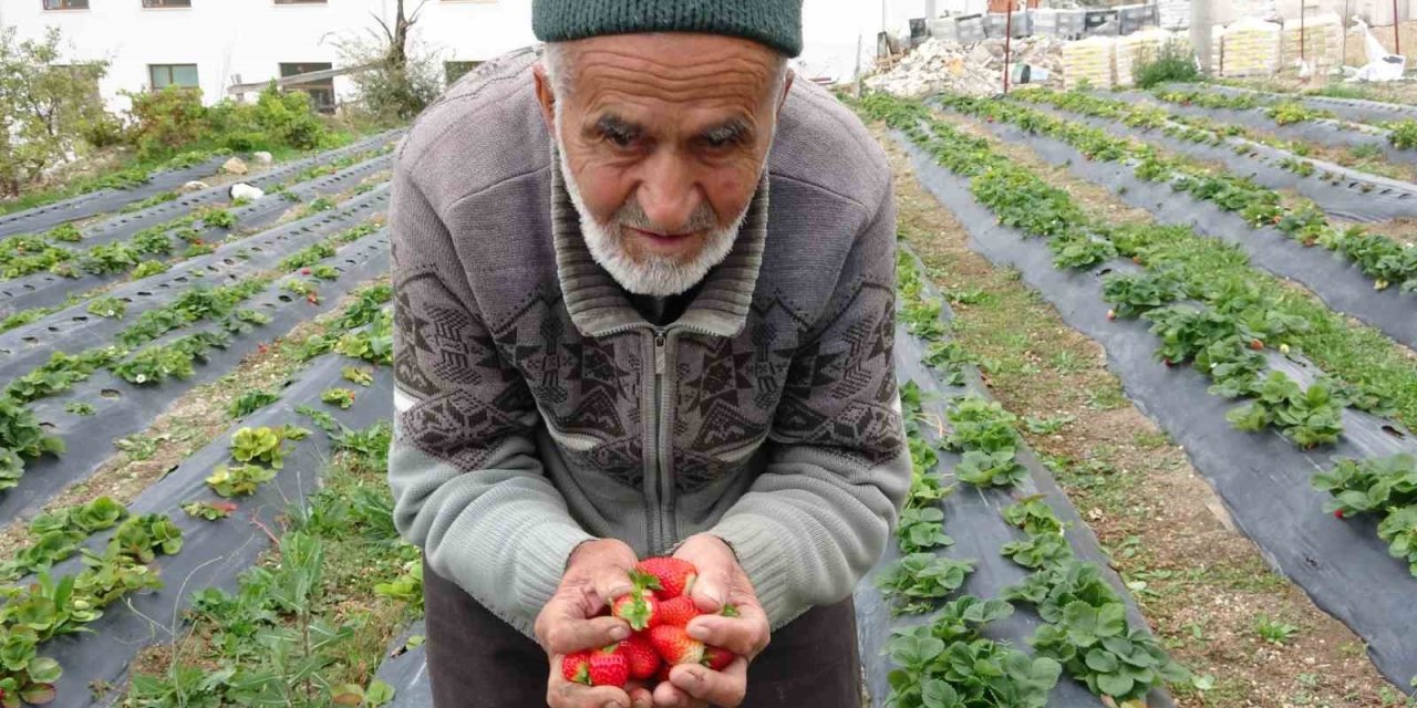 Türkiye onu yoldan geçenlere bahçesinden ikram ettiği meyvelerle tanıdı, acı haber geldi